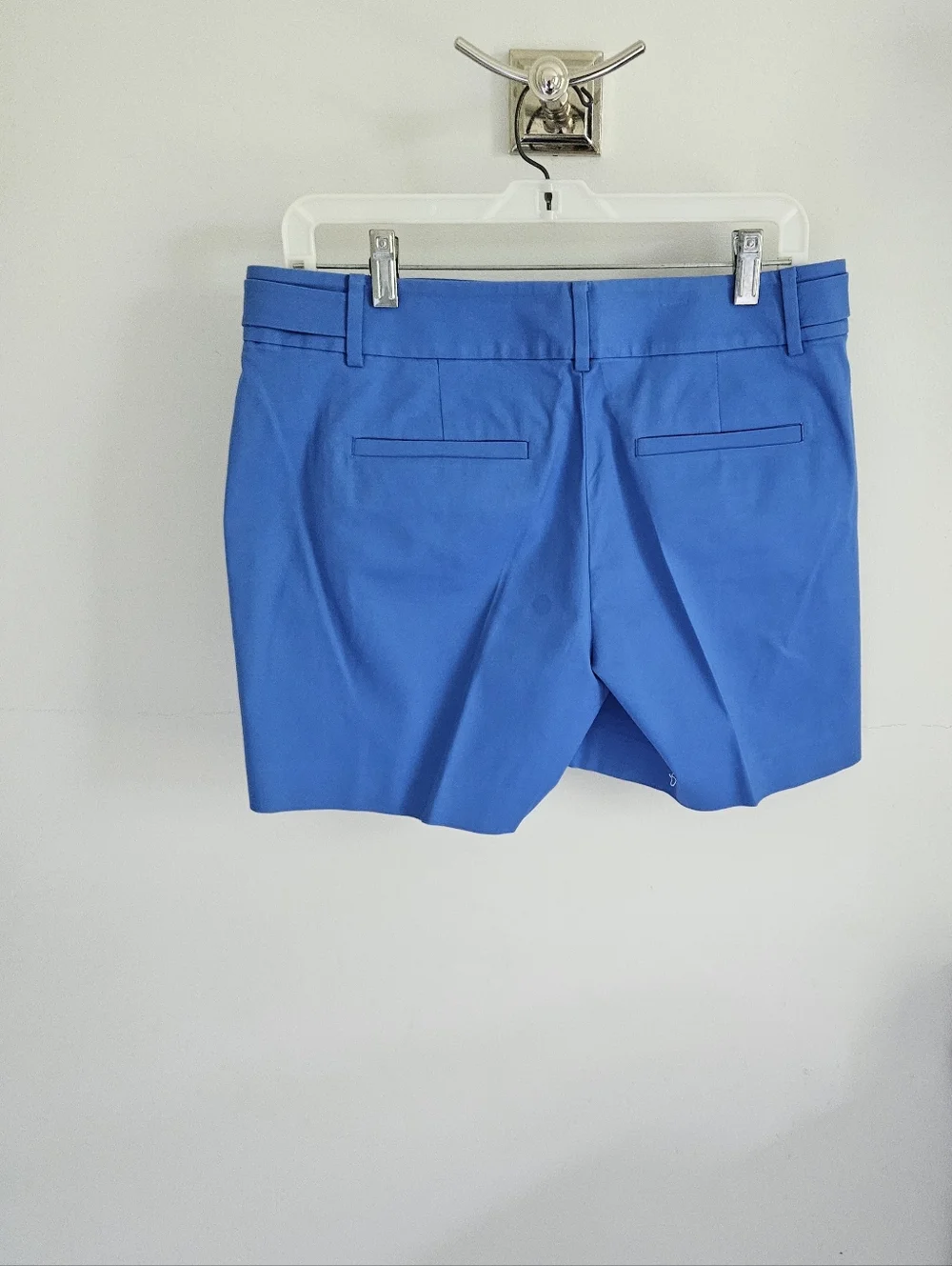 Ann Taylor Blue Shorts